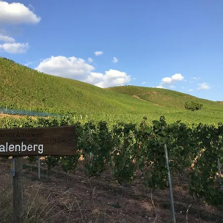 Weinhotel Stadtmuehle Beim Weingut Schauss 3*